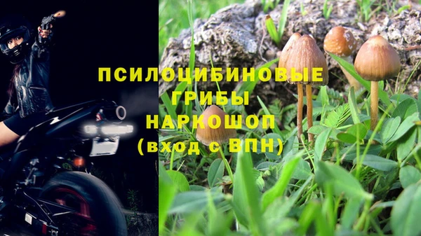 прущие грибы Алексин
