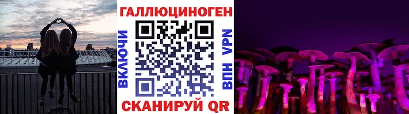 Псилоцибиновые грибы прущие грибы  Ипатово 