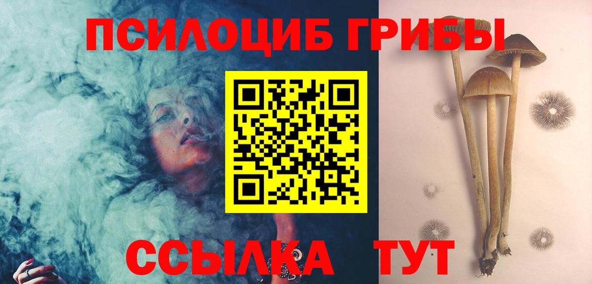Ипатово  Псилоцибиновые грибы Cubensis  Псилоцибиновые грибы Magic Shrooms  Вход с VPN 